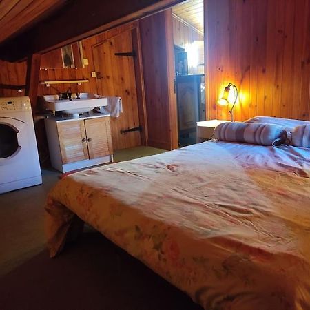 Chalet Accueillant Et Familial Saint-Martin-Vésubie 外观 照片