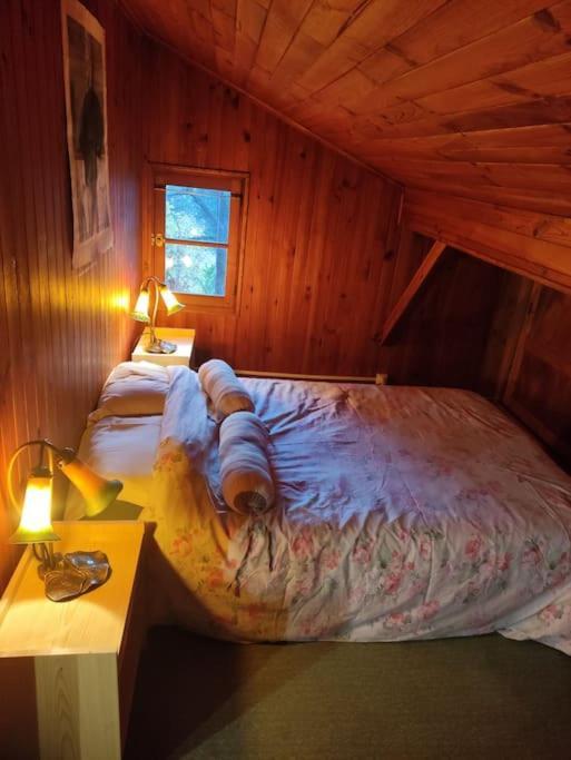 Chalet Accueillant Et Familial Saint-Martin-Vésubie 外观 照片