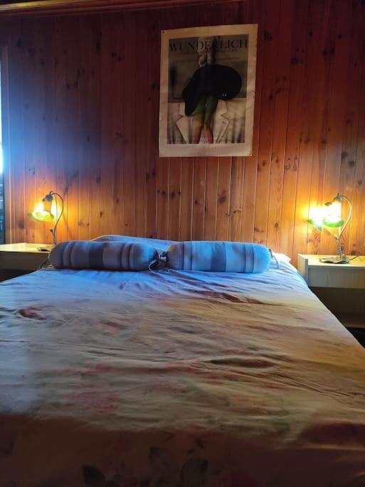 Chalet Accueillant Et Familial Saint-Martin-Vésubie 外观 照片